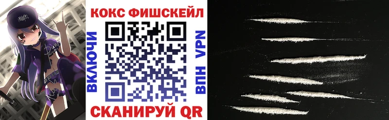 КОКАИН Fish Scale  Купить  Надым 