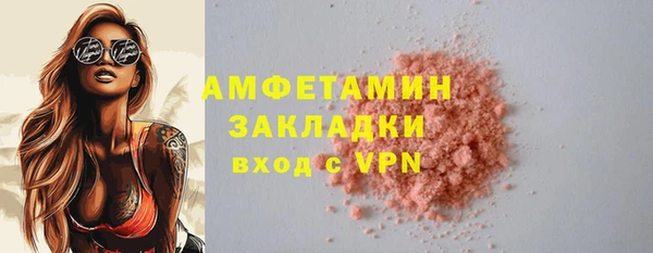 сатива Ельня