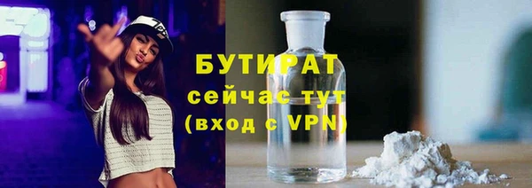 сатива Ельня