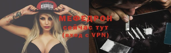 сатива Ельня