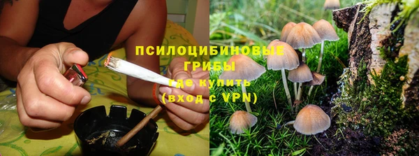 сатива Ельня