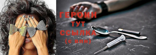 сатива Ельня