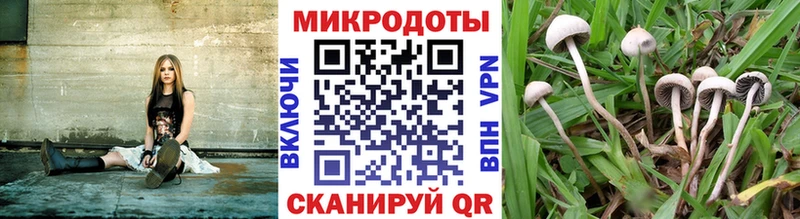 Псилоцибиновые грибы ЛСД  Купить закладки  Надым 