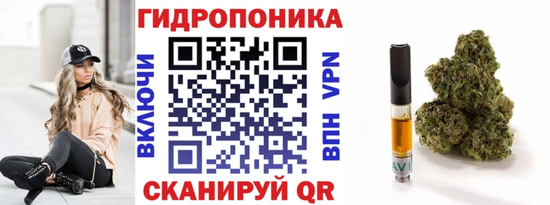 Шишки марихуана ГИДРОПОН  Купить  Надым 